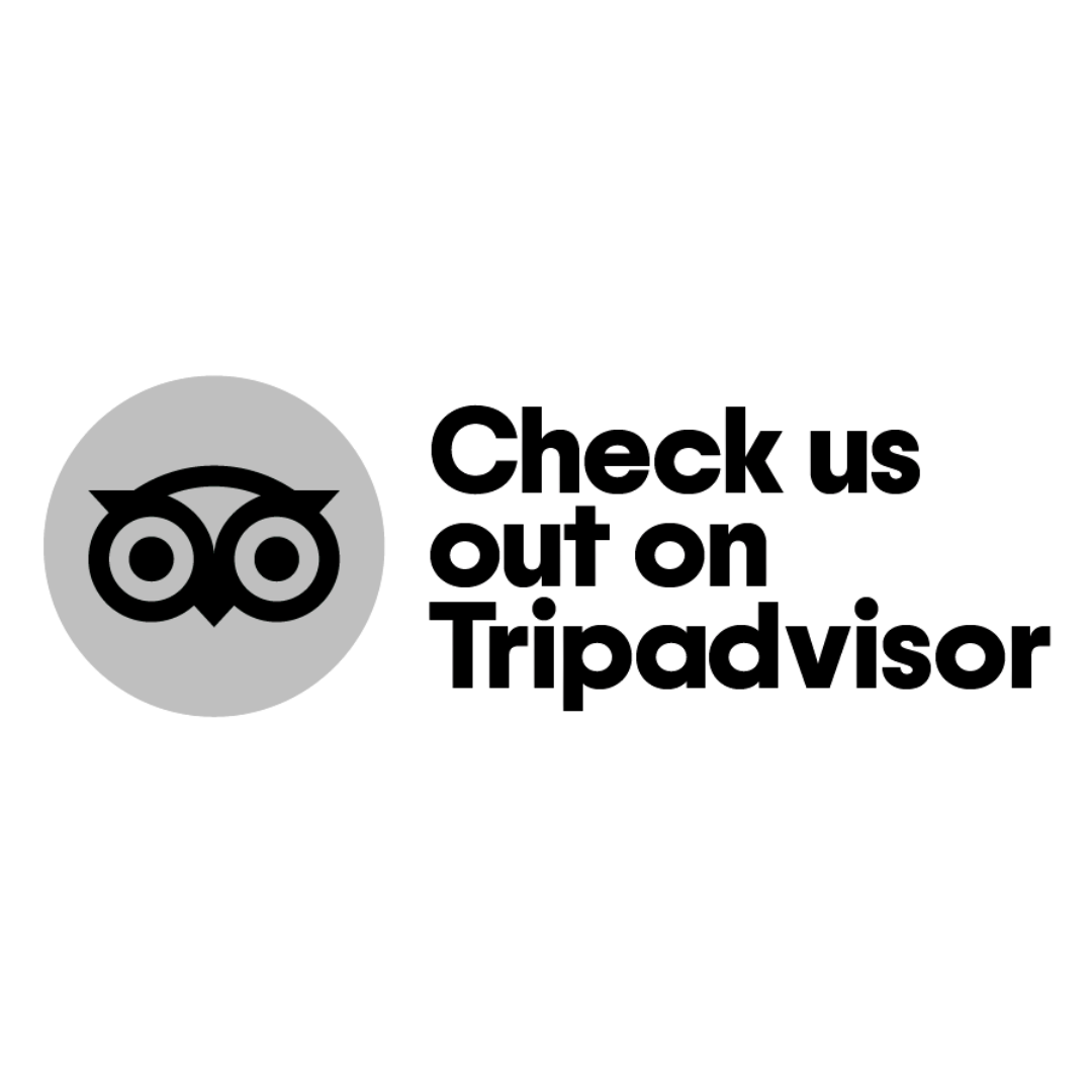 tripadvisor logo gray